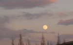 東館に昇る満月